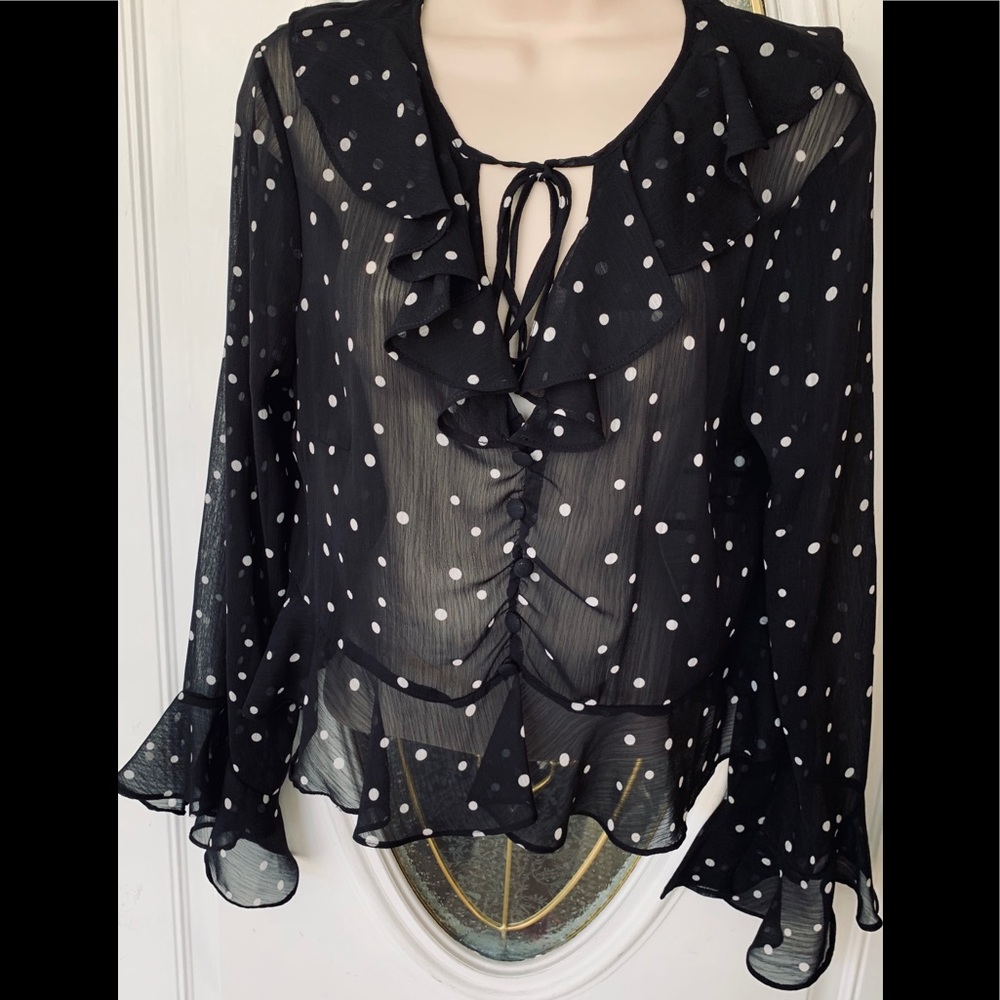 Topshop Black Polka Dot Sheer Ruffle Tie-Neck Blouse